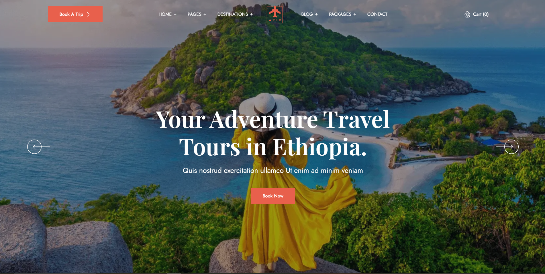 travel and tourism booking themes